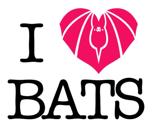 Why I love bats